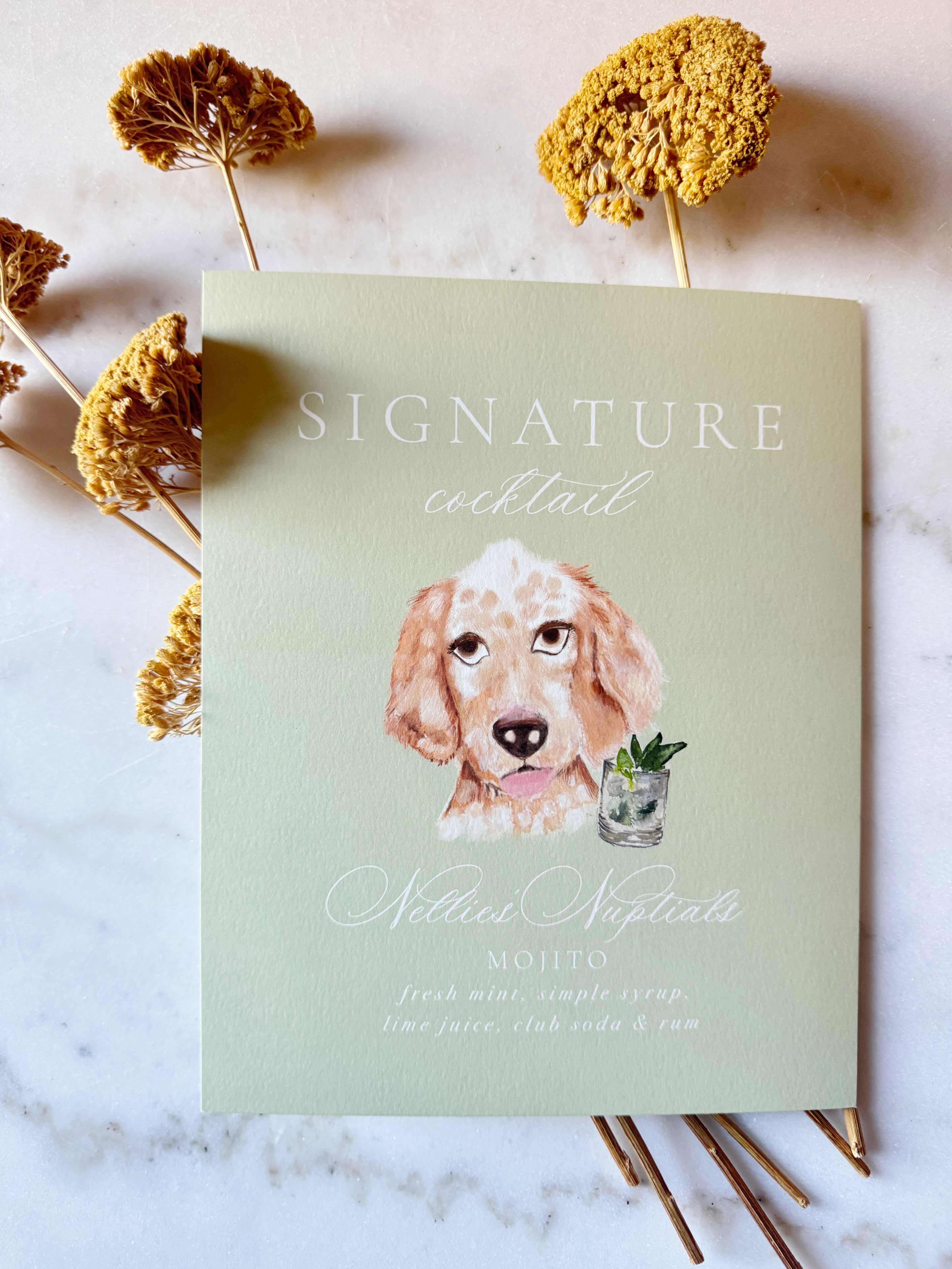 Custom Pet Illustration